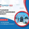 AI plagiarism removal Murshidabad University