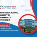 AI plagiarism removal University of Engineering & Management