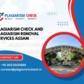 Plagiarism check and Plagiarism removal services Assam
