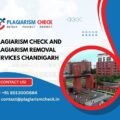 Plagiarism check and Plagiarism removal services Chandigarh