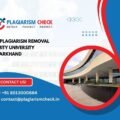 AI plagiarism removal Amity University Jharkhand