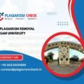 AI plagiarism removal Assam University
