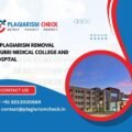 AI plagiarism removal Dhubri Medical College and Hospital