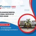 AI plagiarism removal National Institute of Design Assam