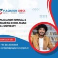 AI plagiarism removal & plagiarism Check Assam Skill University