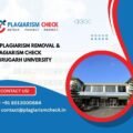 AI plagiarism removal & plagiarism Check Dibrugarh University
