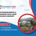 AI plagiarism removal & plagiarism check Assam Don Bosco University