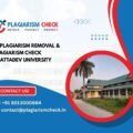 AI plagiarism removal & plagiarism check Bhattadev University