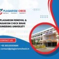 AI plagiarism removal & plagiarism check Bihar Engineering University
