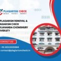 AI plagiarism removal & plagiarism check Girijananda Chowdhury University