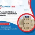 AI plagiarism removal & plagiarism check Munger University