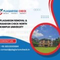 AI plagiarism removal & plagiarism check North Lakhimpur University