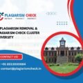 AI plagiarism removal & plagiarism check Cluster University