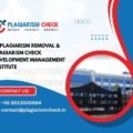 AI plagiarism removal & plagiarism check Development Management Institute