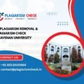 AI plagiarism removal & plagiarism check Dravidian University