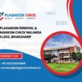 AI plagiarism removal & plagiarism check Nalanda College, Biharsharif