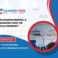 AI plagiarism removal & plagiarism check The Apollo University