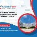 AI plagiarism removal & plagiarism check Raghu Engineering College